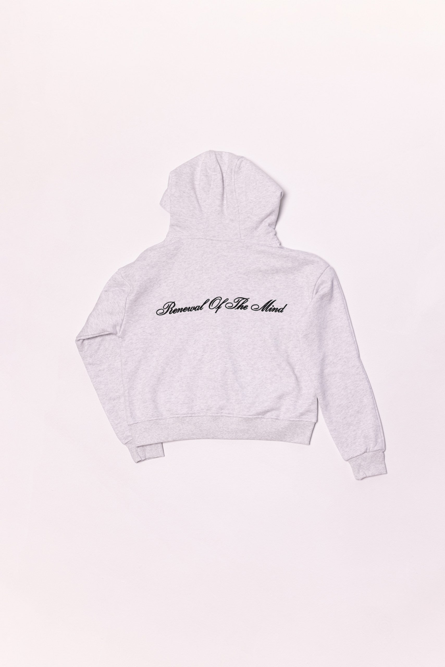 Light gray hoodie with text on the back against a white background